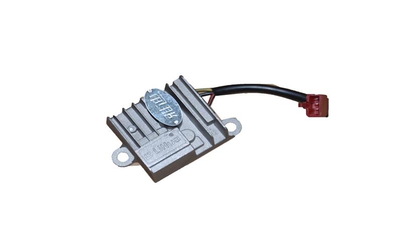 BEYİN TEKLİ (REGNUM)